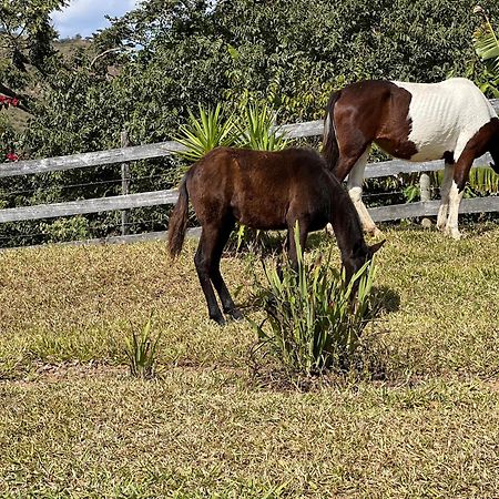 Hotel Fazenda Do Engenho Santa Rita do Rio Abaixo Zewnętrze zdjęcie