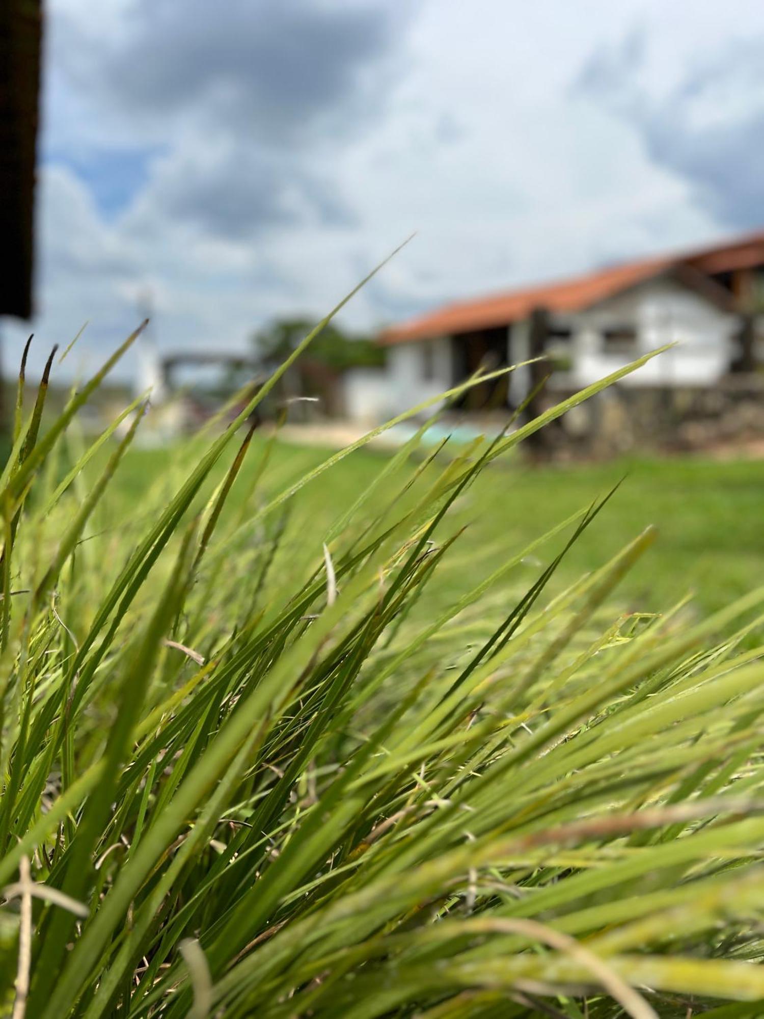 Hotel Fazenda Do Engenho Santa Rita do Rio Abaixo Zewnętrze zdjęcie