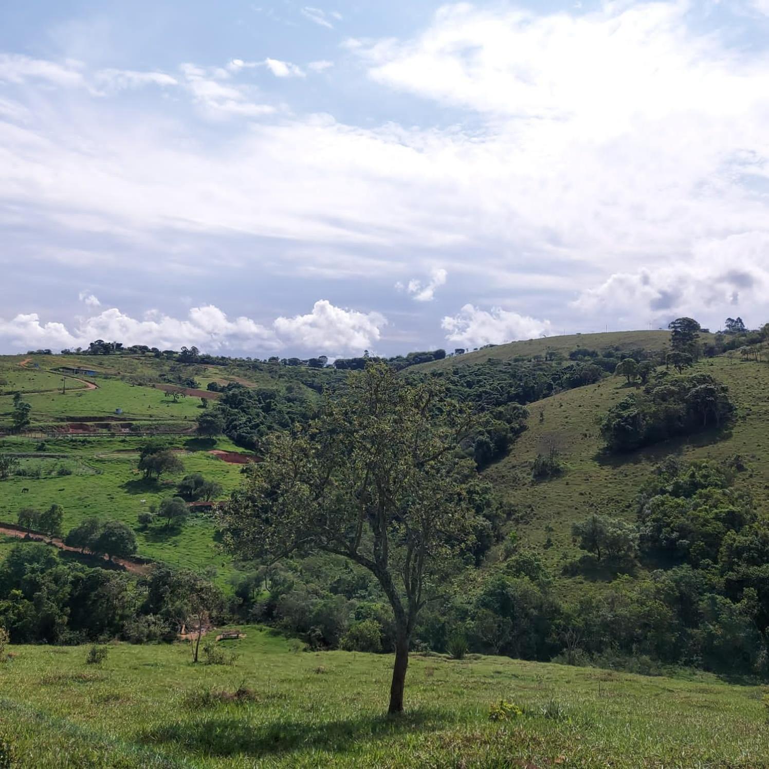 Hotel Fazenda Do Engenho Santa Rita do Rio Abaixo Zewnętrze zdjęcie