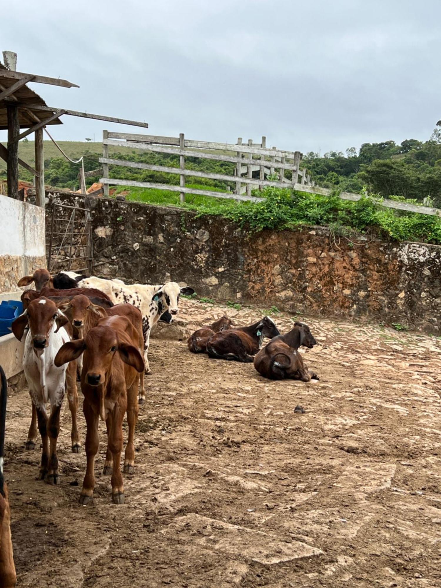 Hotel Fazenda Do Engenho Santa Rita do Rio Abaixo Zewnętrze zdjęcie