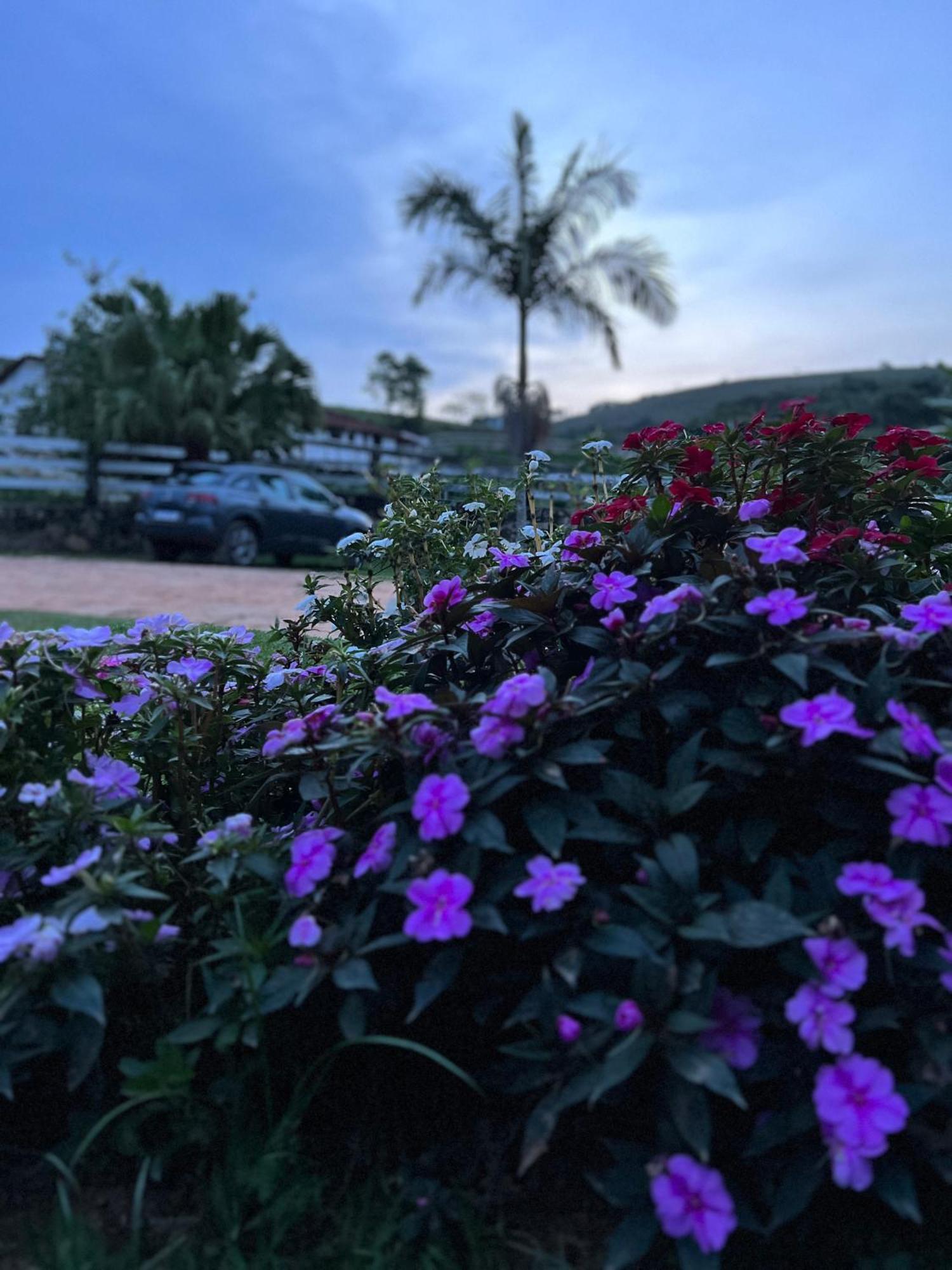 Hotel Fazenda Do Engenho Santa Rita do Rio Abaixo Zewnętrze zdjęcie
