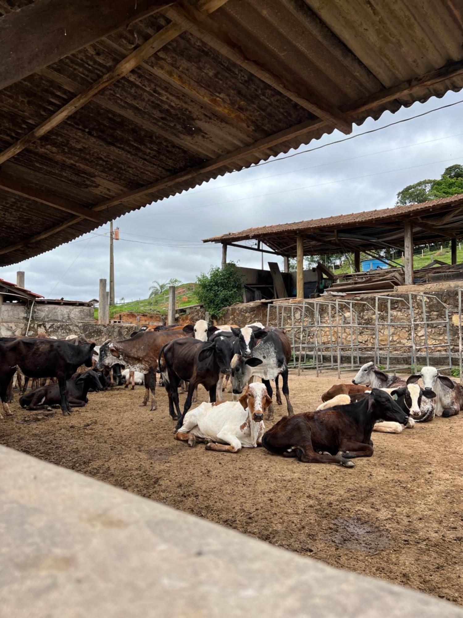 Hotel Fazenda Do Engenho Santa Rita do Rio Abaixo Zewnętrze zdjęcie